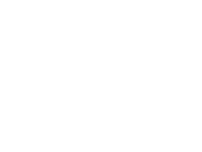 Derbyshire tree surgeon registered with trusted trader scheme run by derbyshire county council