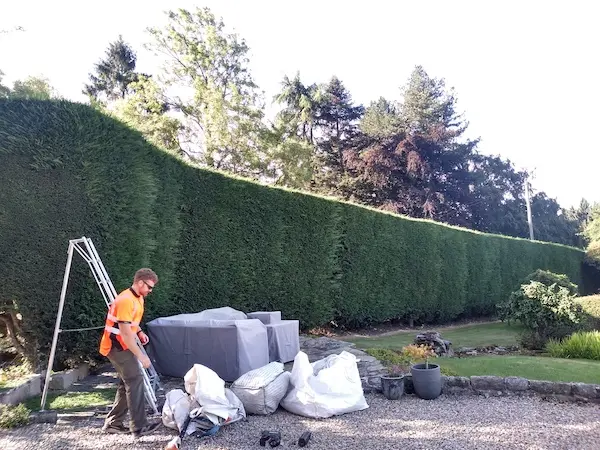 Hedge cutting services
