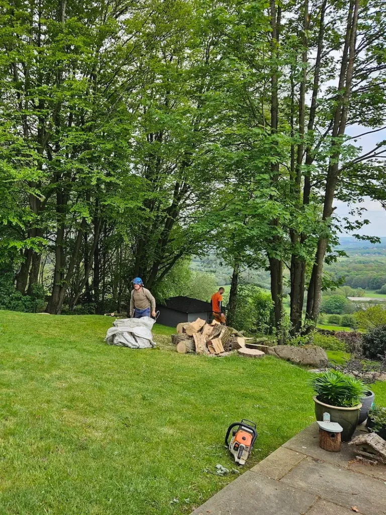 Storm damaged tree clearance in Spitewater